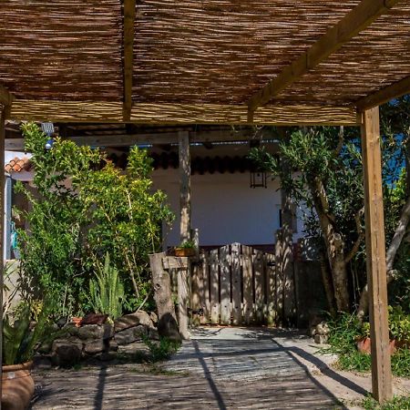 La Casa De Los Algarbes Tarifa Exteriér fotografie